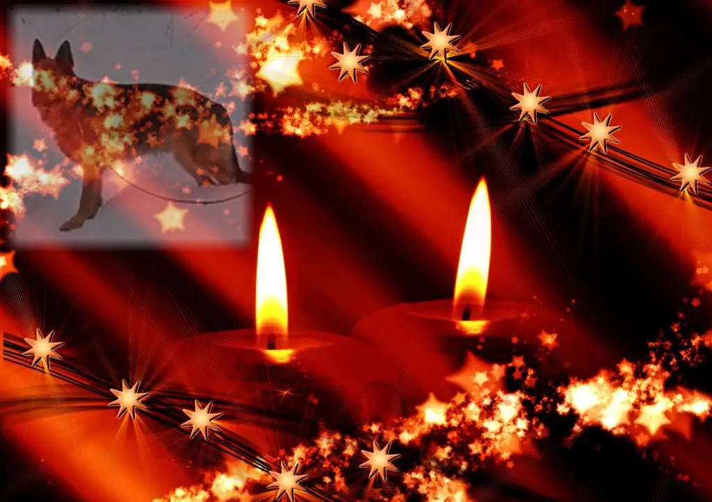 Andachtsbild von ❤️❤️❤️