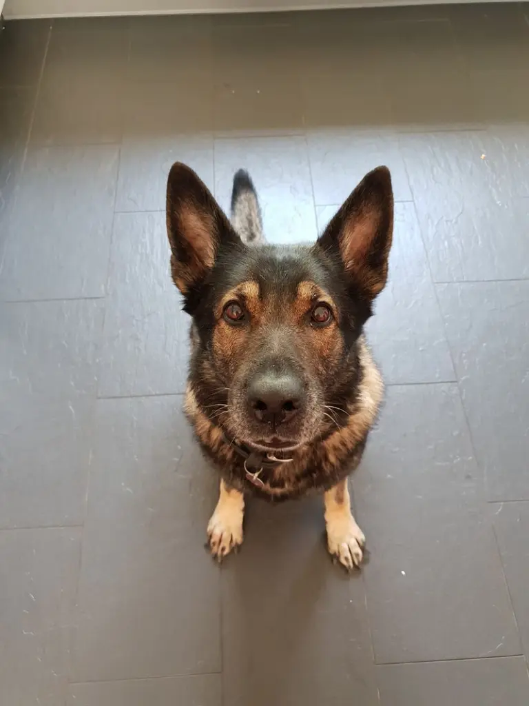 Andachtsbild von Karin mit Donna(wetter) im ❤️