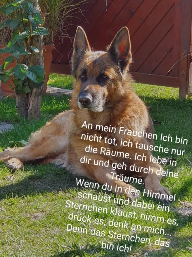 Andachtsbild von Gaby