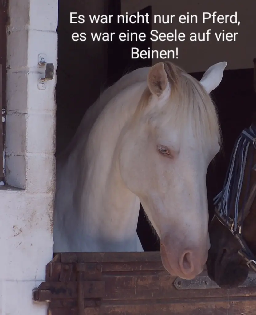 Andachtsbild von Anja + Chicco