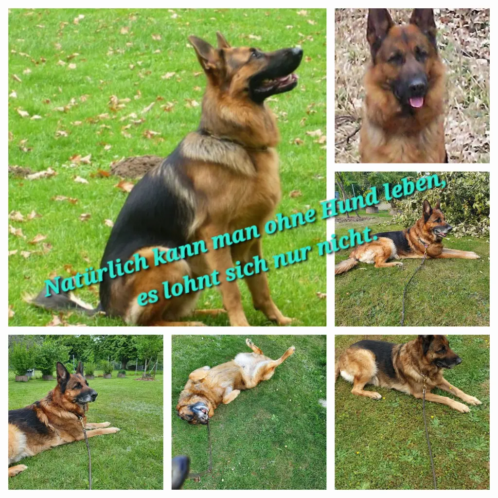 Andachtsbild von Gaby Kasper