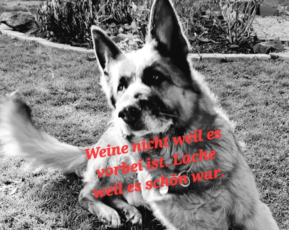 Andachtsbild von Gaby