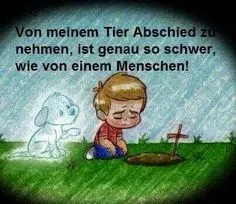 Condolence image of Gabi mit Gustel und Bruno