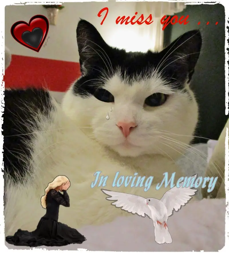 Condolence image of Mutti