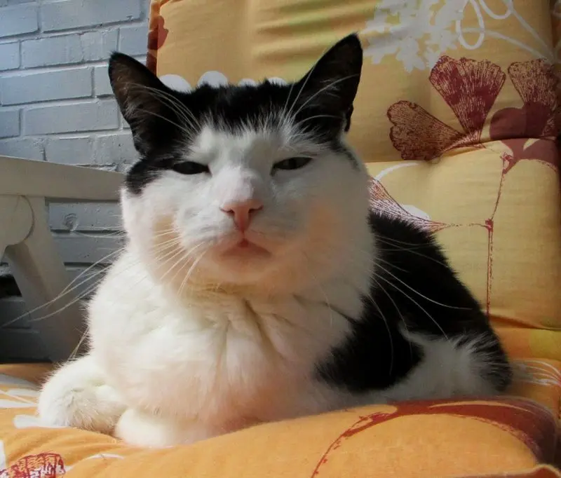 Condolence image of Mutti