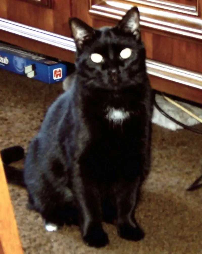 Condolence image of Mutti