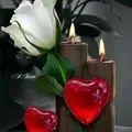 Condolence image of Tanja mit Timmy im Herzen