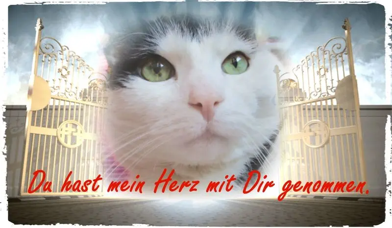 Condolence image of Mutti