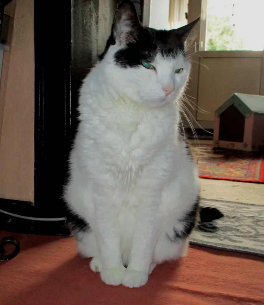 Condolence image of Mutti