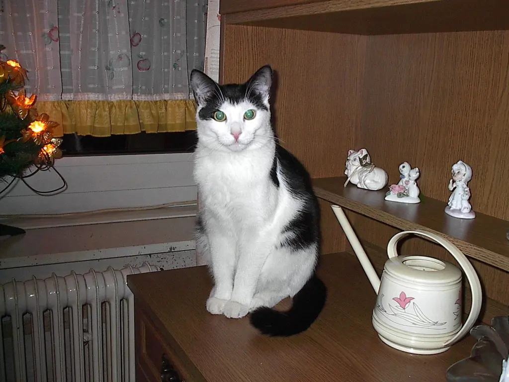 Condolence image of Mutti