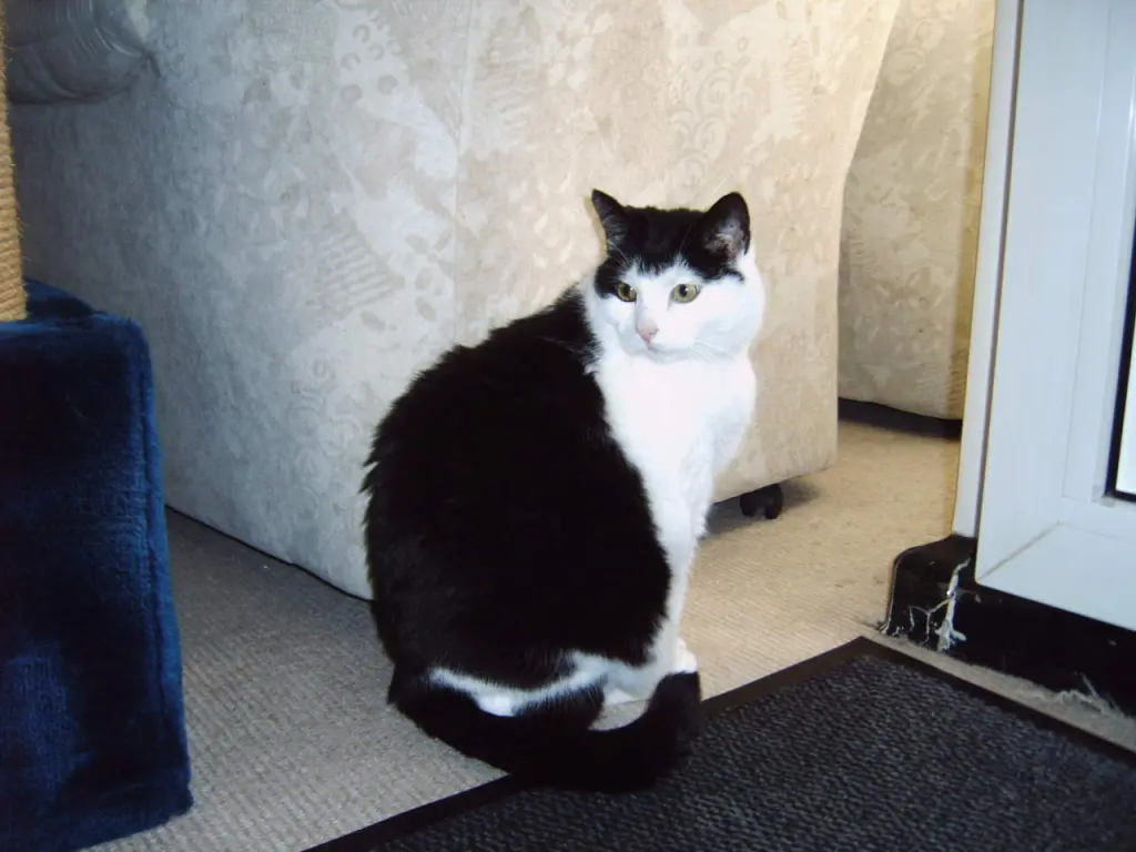 Condolence image of Mutti