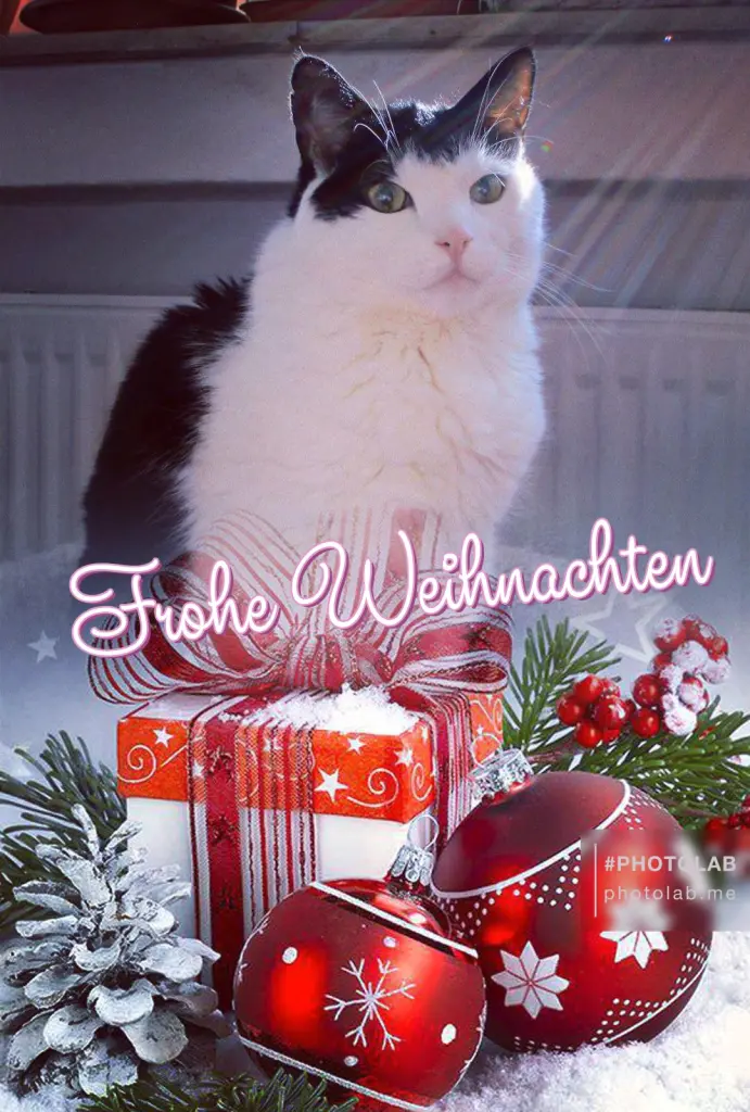 Condolence image of Mutti