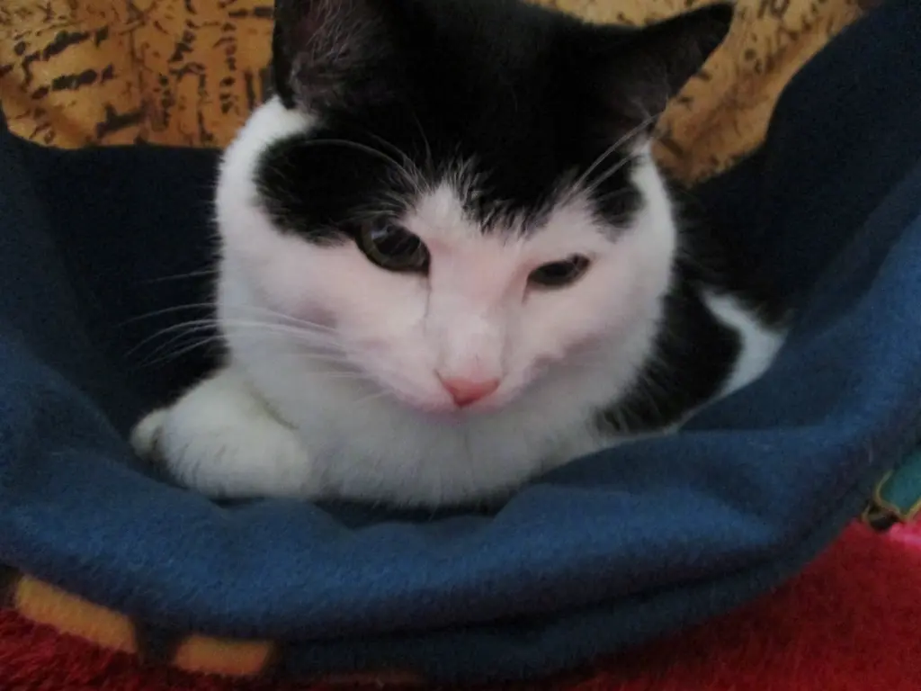 Condolence image of Mutti