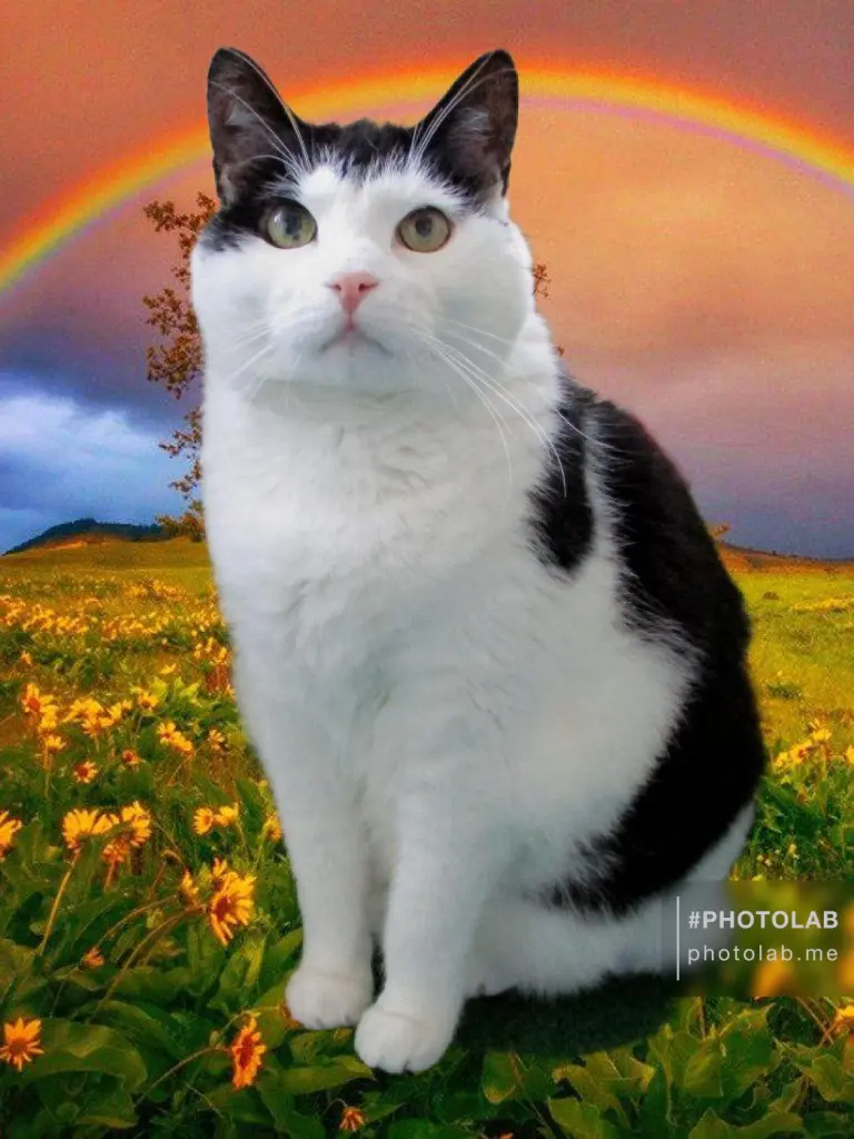 Condolence image of Mutti