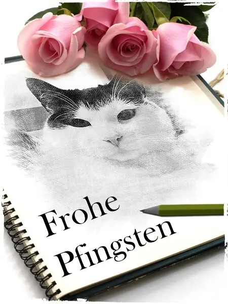Condolence image of Mutti