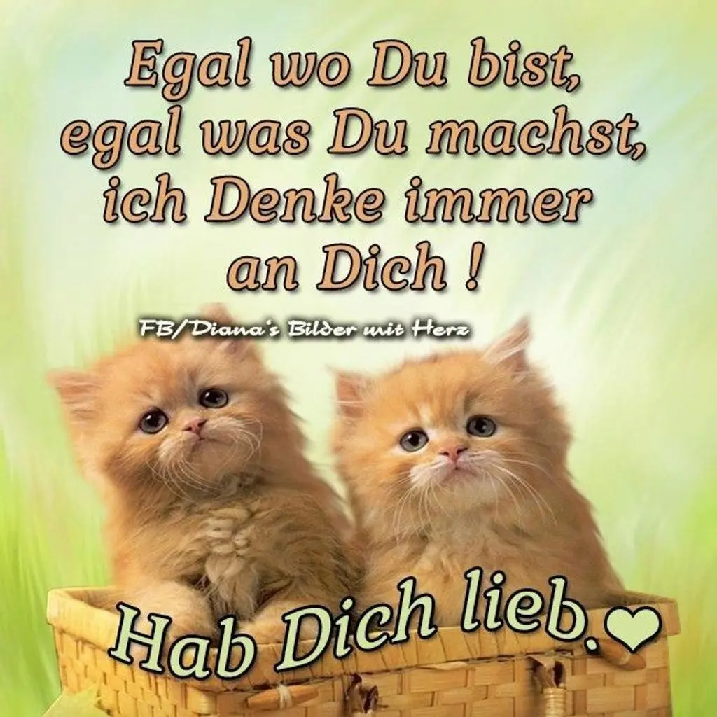 Condolence image of Mutti
