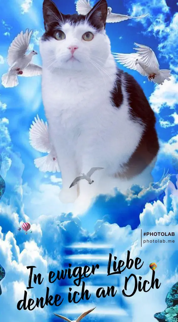Condolence image of Mutti