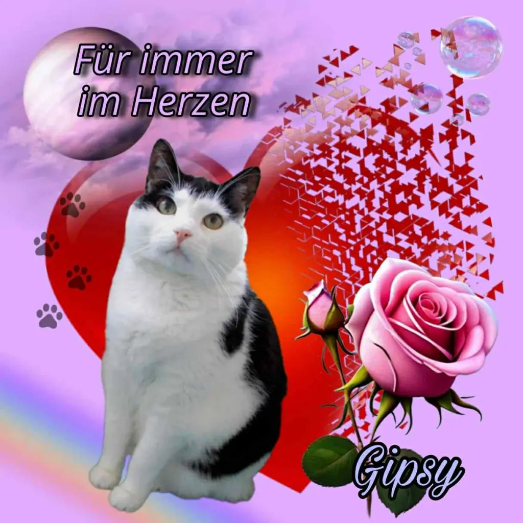 Condolence image of Mutti