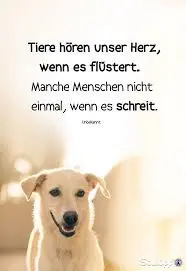 Condolence image of Jutta mit Flash im Herzen ( 17.01.20)
