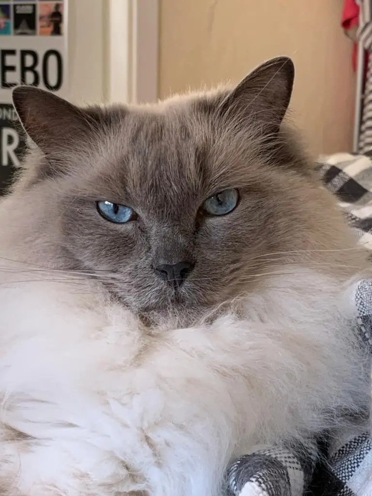 Condolence image of Sabine
