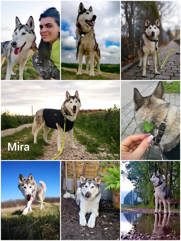 Image from Mira