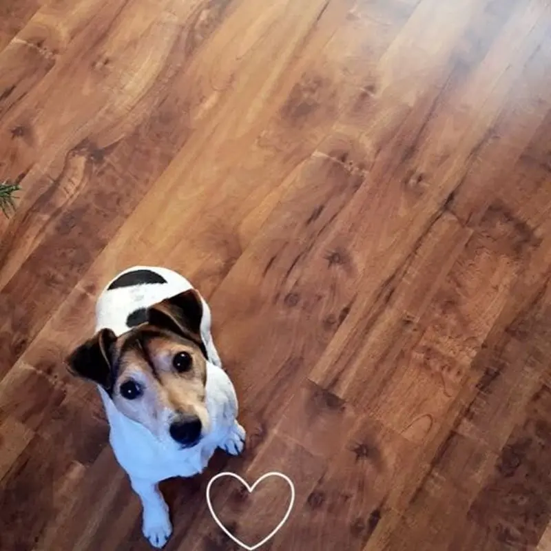 Andachtsbild von Yvonne und Byron im Herzen