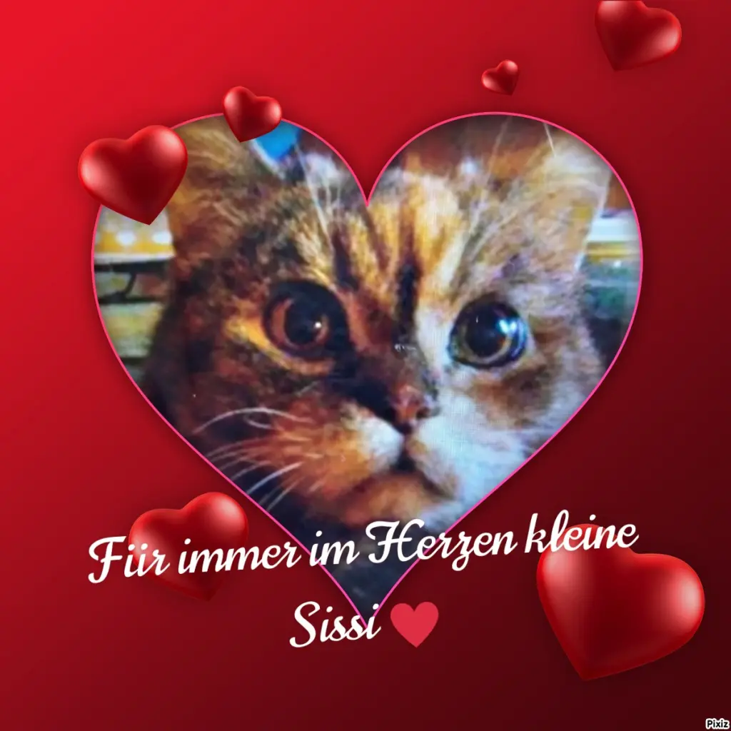 Condolence image of Für Dich kleine Sissi♥️