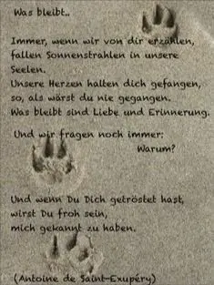 Condolence image of Andrea mit Minki im ❤ gest.19.10.20