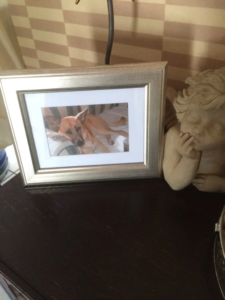 Condolence image of Heike