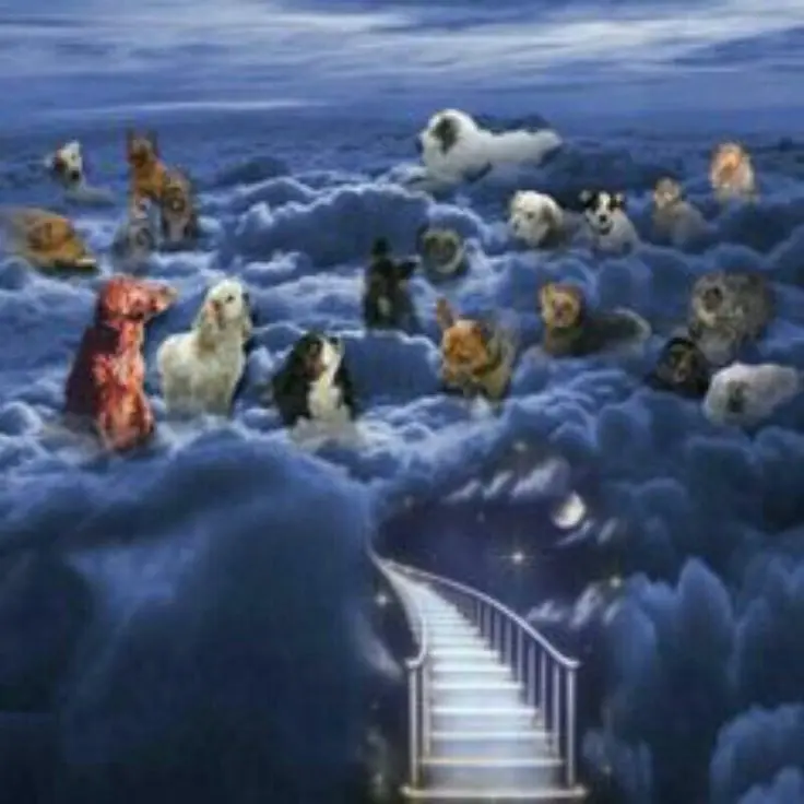 Condolence image of Andrea mit Minki im ❤