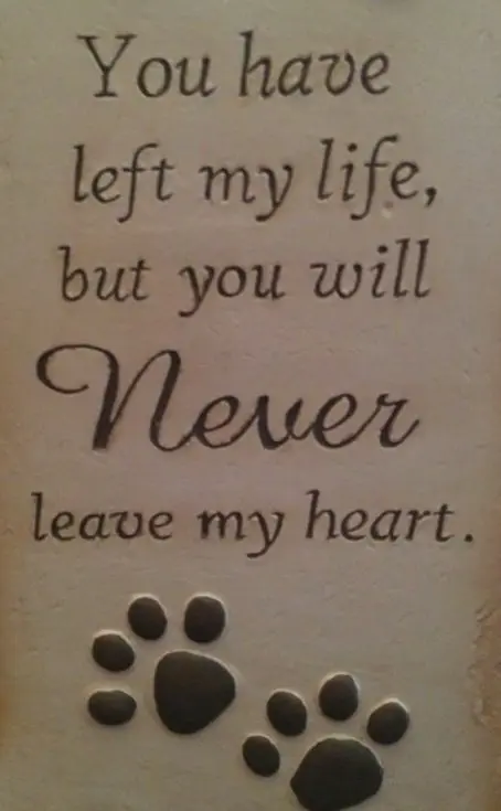 Condolence image of Andrea mit Minki im ❤