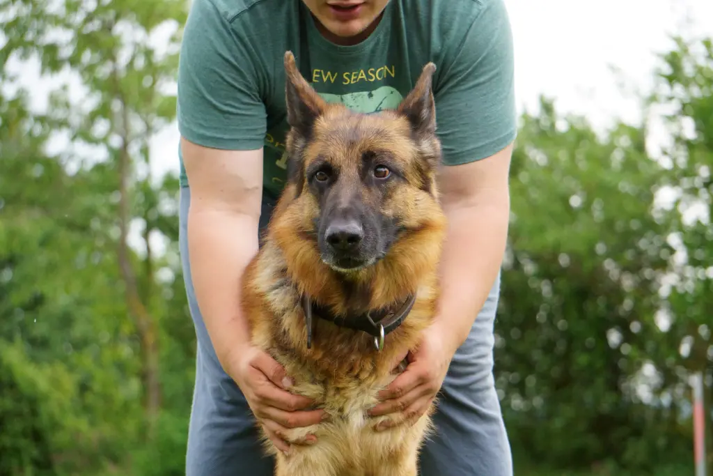 Andachtsbild von Annette