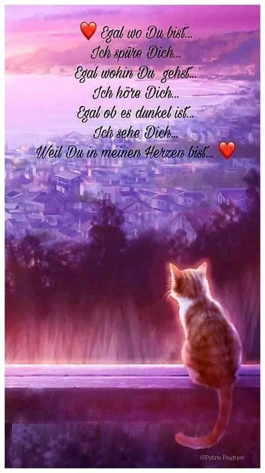 Condolence image of Andrea mit Minki im ❤ gest.19.10.20