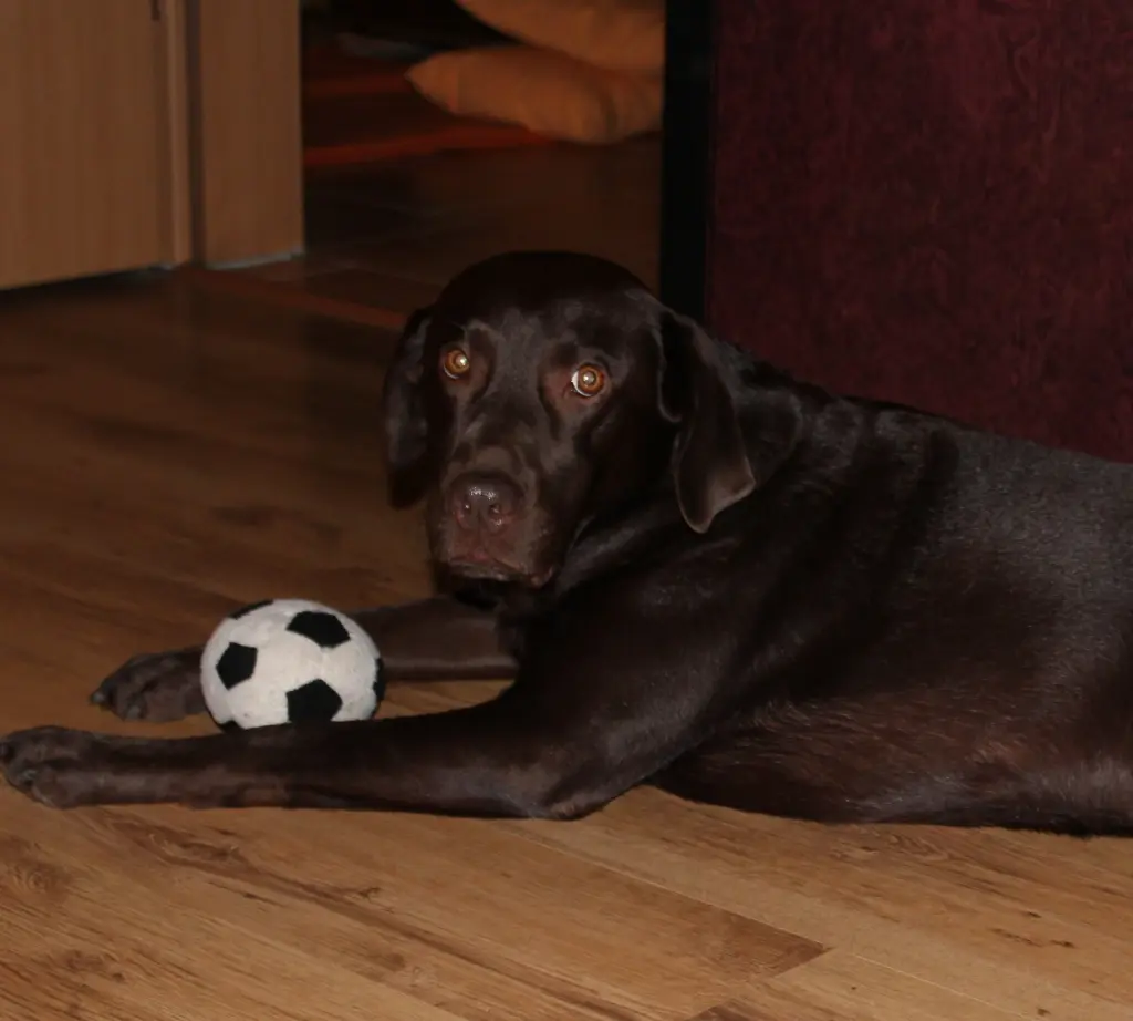 Andachtsbild von Silvana