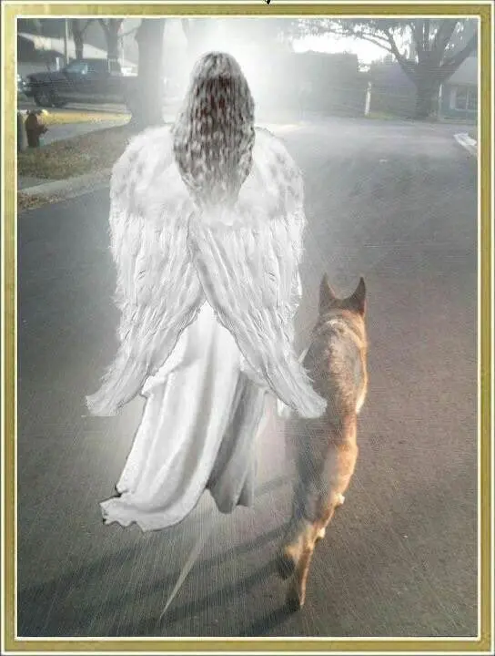 Condolence image of Andrea mit Minki im ❤