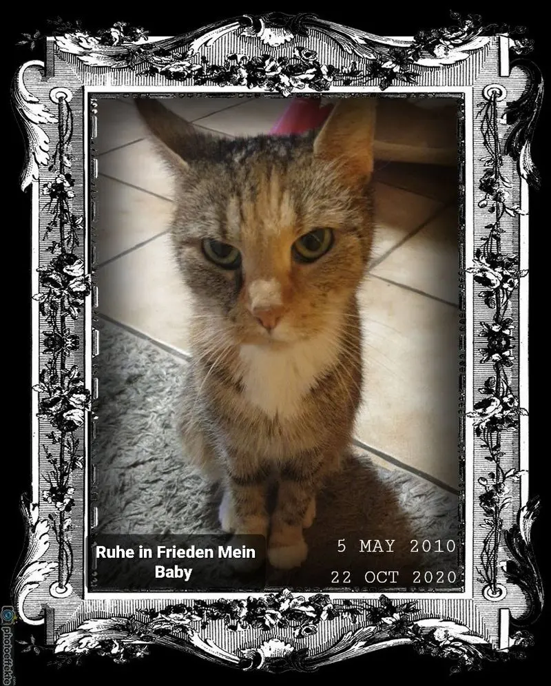 Condolence image of Nicole