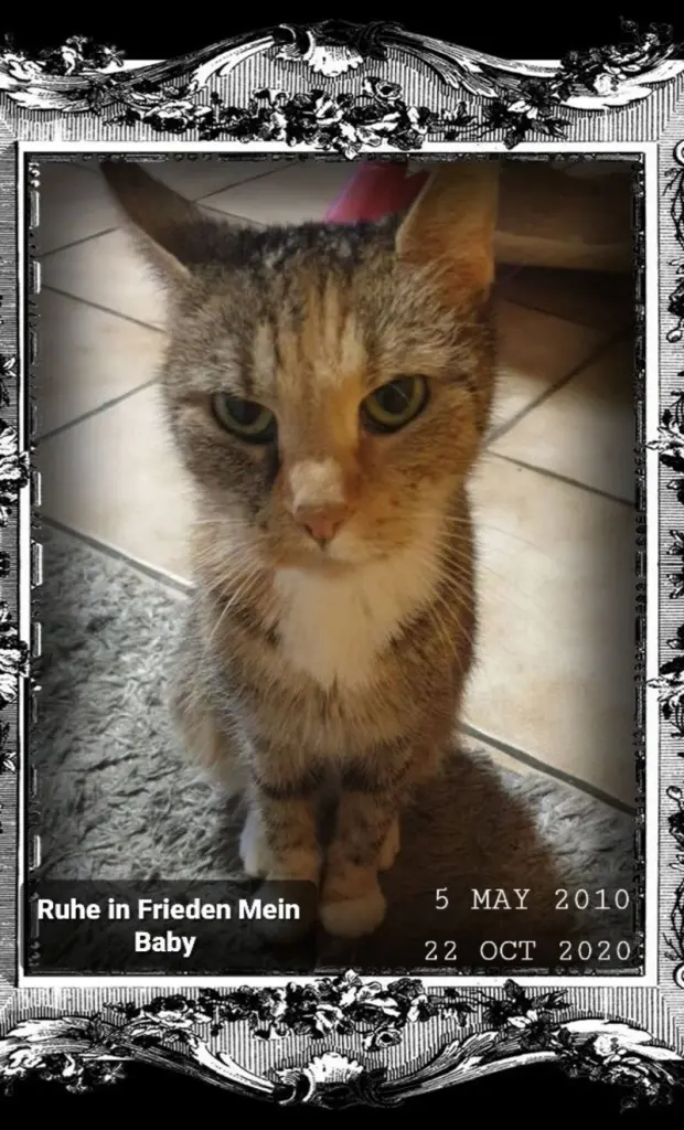 Condolence image of Nicole 