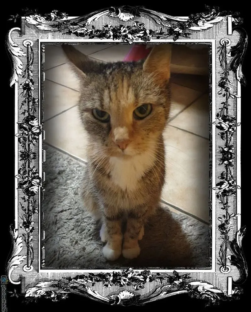 Condolence image of Nicole