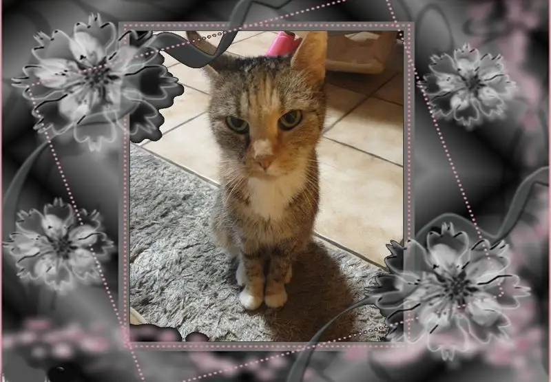 Condolence image of Nicole