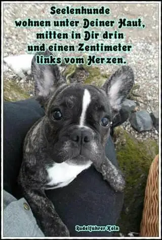 Condolence image of Andrea mit Minki im ❤ gest.19.10.20
