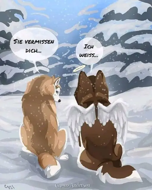 Condolence image of Klaudia mit Gino und Jules im herzen gest.23.10.2020 +19.112022
