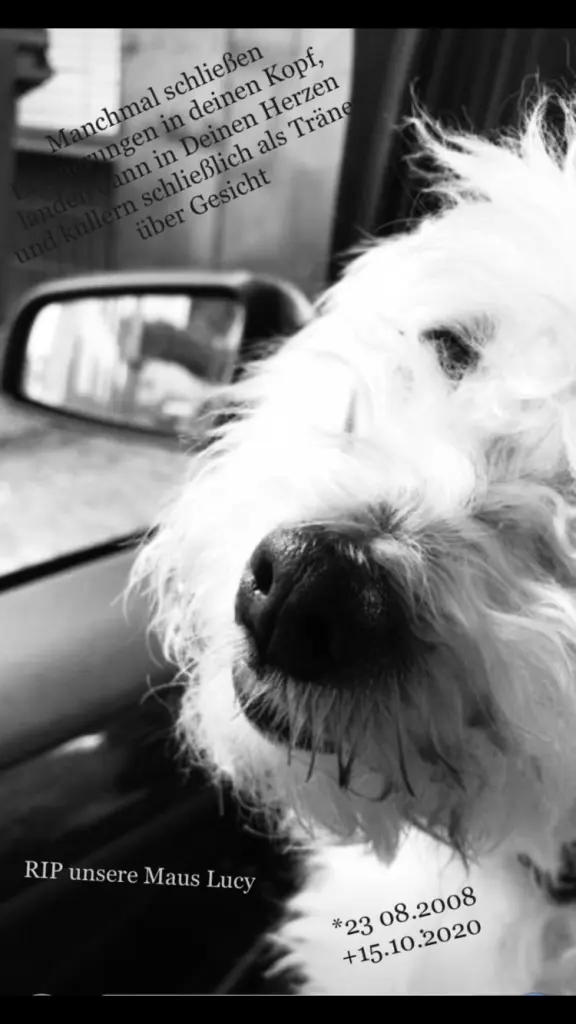 Image from Lucy