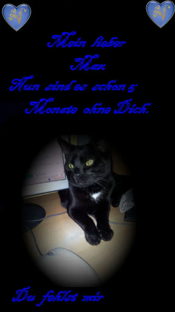 Condolence image of Marina