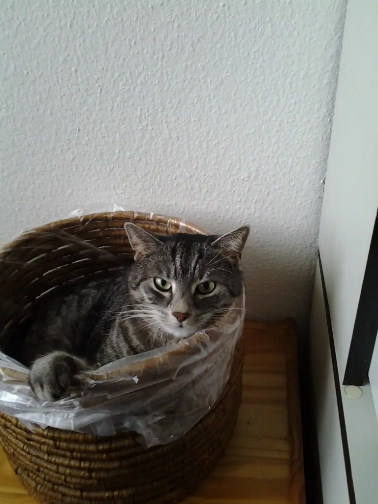 Andachtsbild von Silvia Ortstein