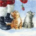 Andachtsbild von Post von Timmy