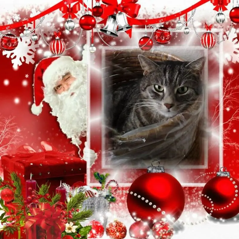 Andachtsbild von ❤️❤️❤️