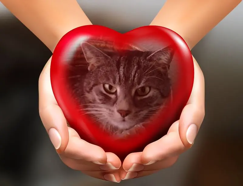 Andachtsbild von ❤️❤️❤️