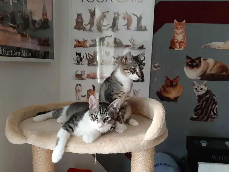 Andachtsbild von Post von Timmy 