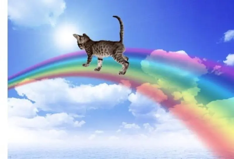 Andachtsbild von Von Deinem Frauchen Silvia