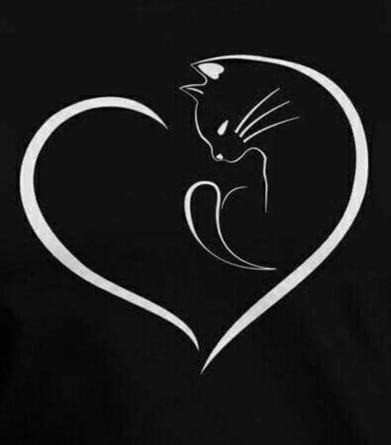 Andachtsbild von Post von Tanja an Gatita und Silvia